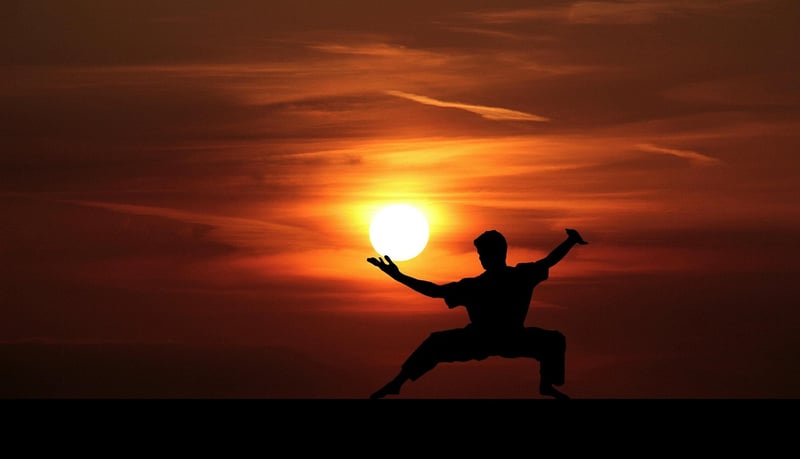 Tai Chi Harmony